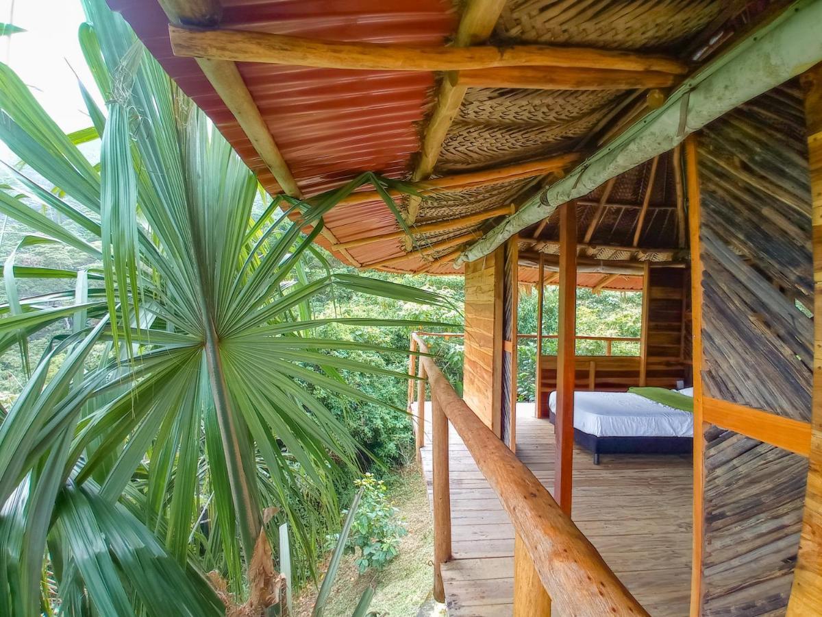 Taorayina Nature Lodge- Immersed In The Forest El Zaino Eksteriør bilde