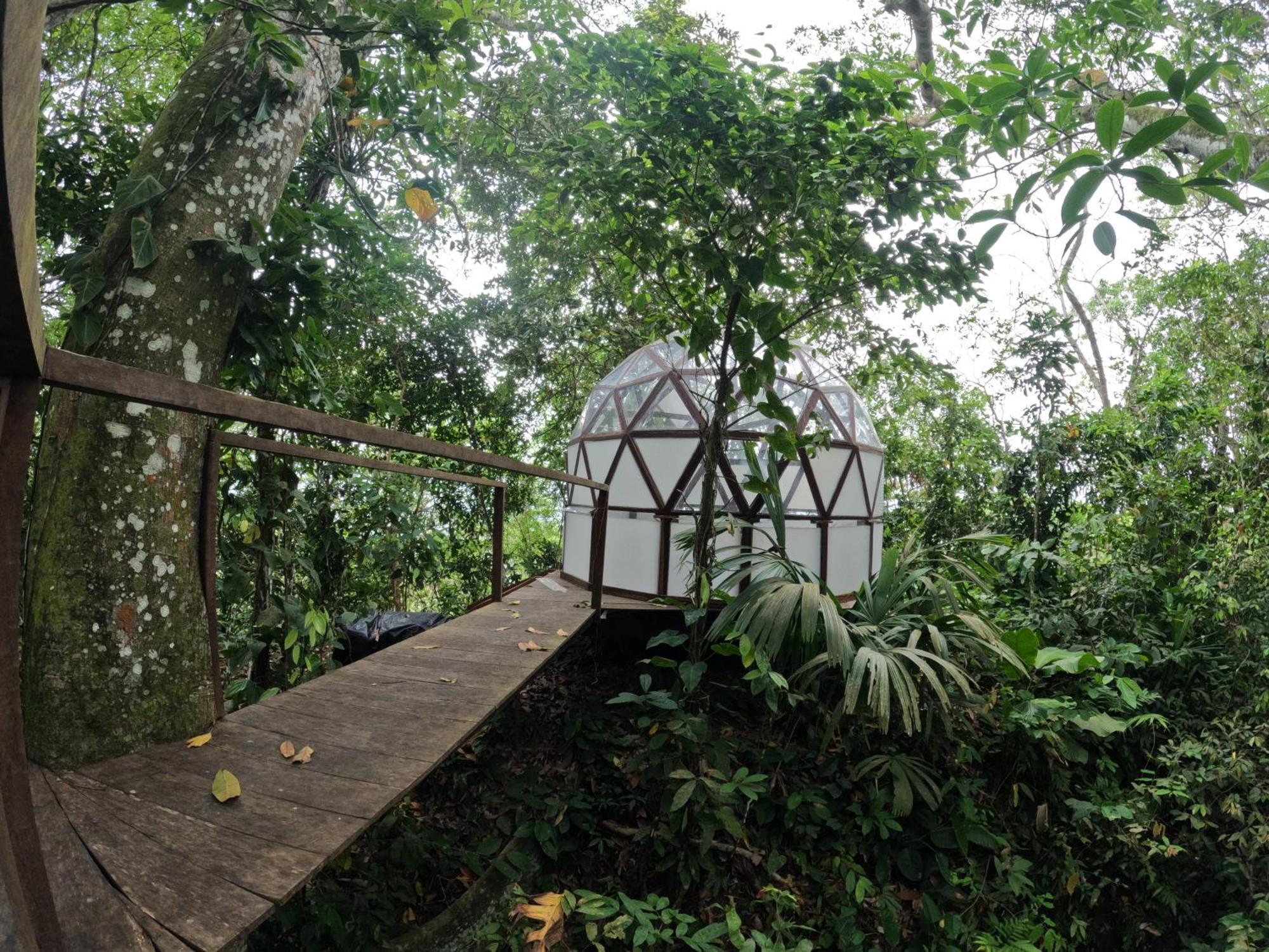 Taorayina Nature Lodge- Immersed In The Forest El Zaino Eksteriør bilde