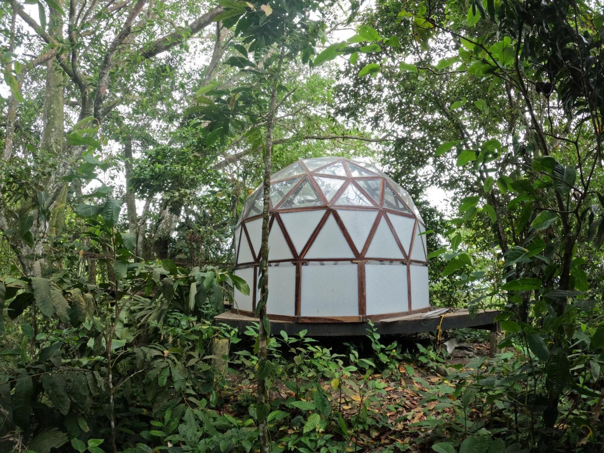Taorayina Nature Lodge- Immersed In The Forest El Zaino Eksteriør bilde
