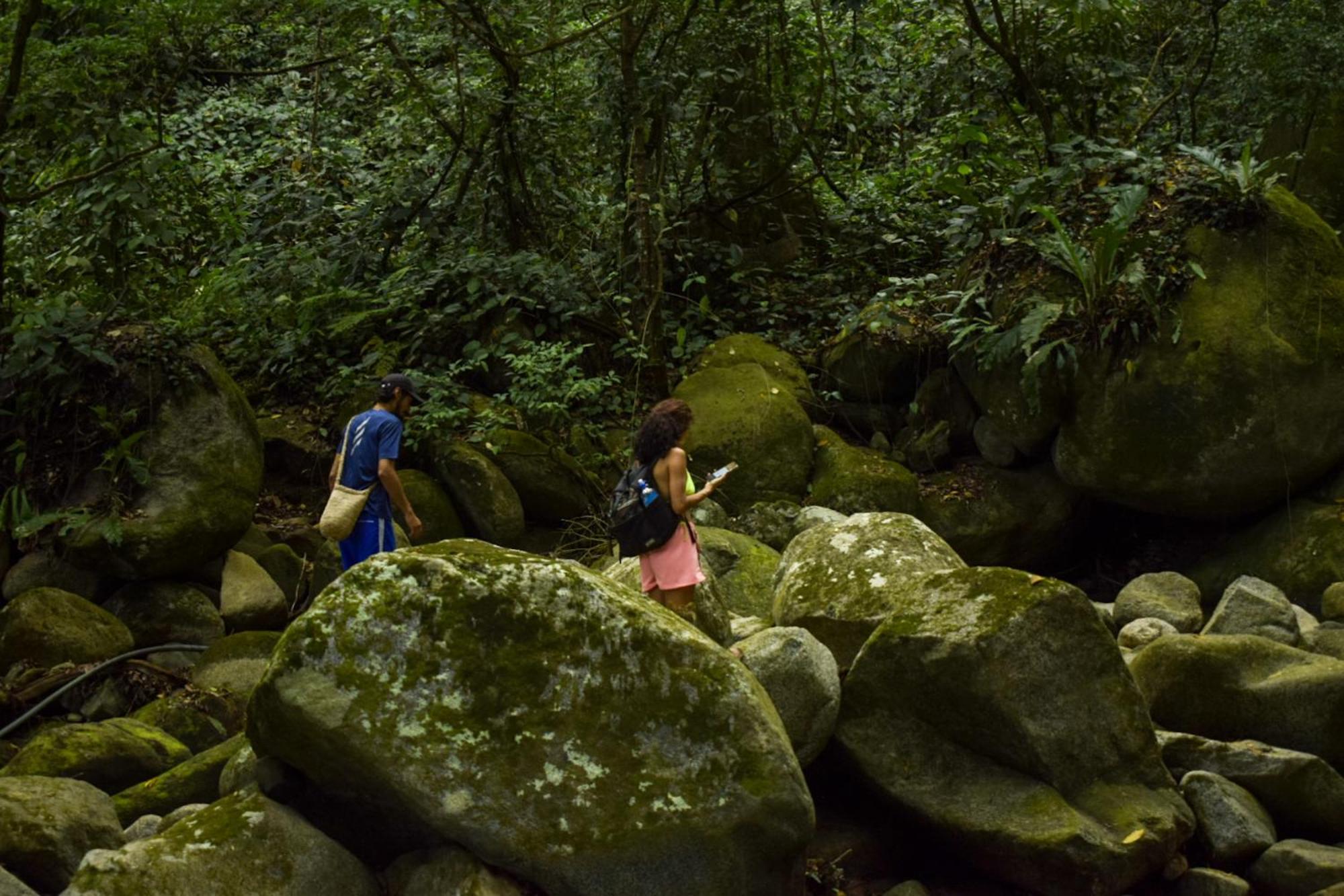 Taorayina Nature Lodge- Immersed In The Forest El Zaino Eksteriør bilde